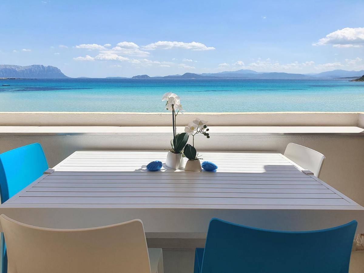 Appartamento Delfino Azzurro Golfo Aranci Exterior foto